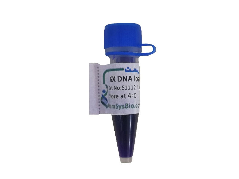 رنگ بارگذاری نمونه 6X (6X loading dye) رنگ بارگذاری نمونه 6X (6X loading dye)