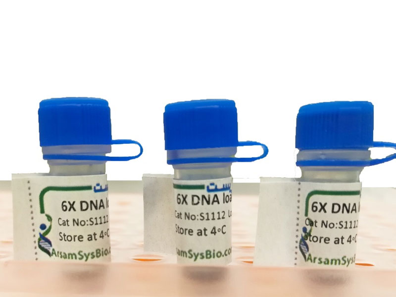 رنگ بارگذاری نمونه 6X (6X loading dye) رنگ بارگذاری نمونه 6X (6X loading dye)